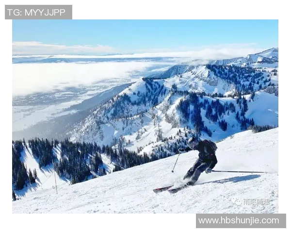 成都极限运动队状态全面解析与对比分析