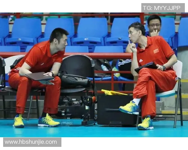 深度对话赵秀英排球人生的追求与坚持之路