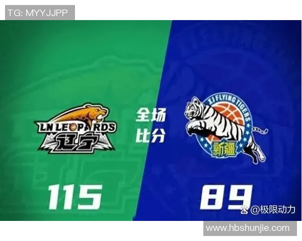 2015年新疆与福建激战回顾精彩瞬间与赛场亮点全解析