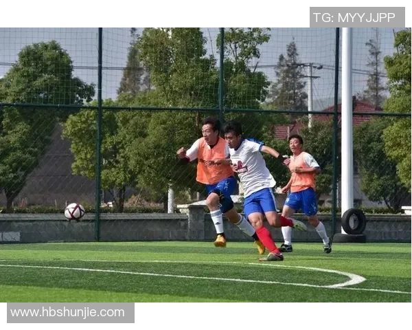 2017年3月巴西对战强敌精彩回顾与赛后分析