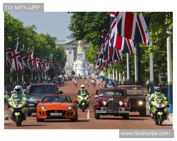 女王巡游与雷丁推荐的精彩对比与最佳选择分析